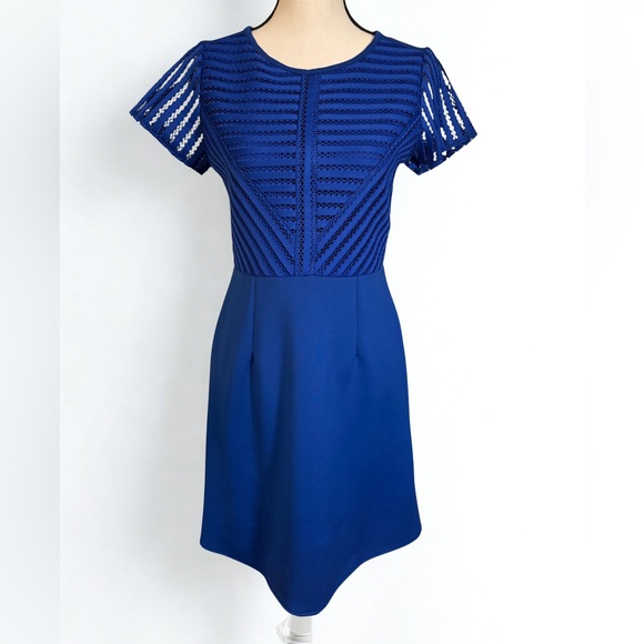 Cobalt Blue A-Line Cocktail Dress - Picture 1 of 11